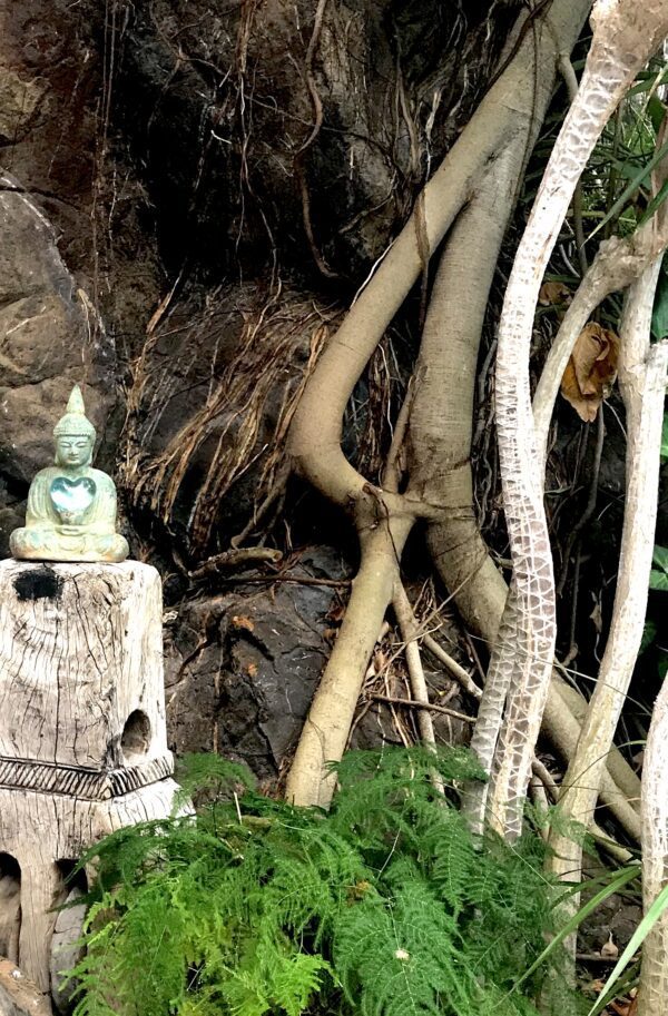 A statue of buddha in front of some trees